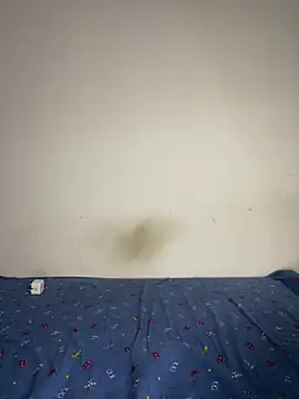 BandySL online show from December 13, 2024, 2:54 am