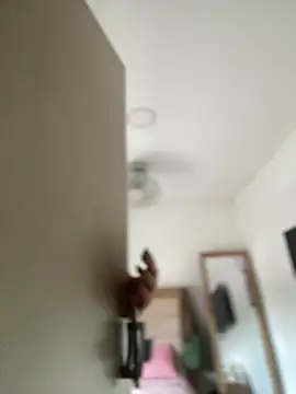 Lia flowers online show from March 2, 2025, 5:25 pm