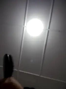 Lia flowers online show from November 2, 2025, 12:35 am