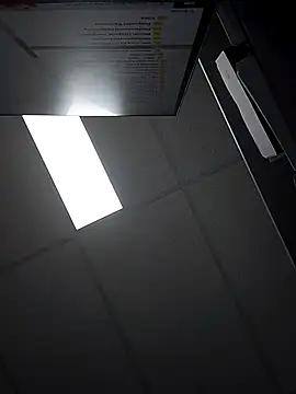 stiffandlubedxh online show from March 4, 2025, 11:32 pm