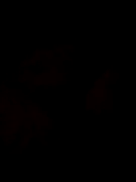 Sanny212 online show from December 9, 2024, 12:40 pm