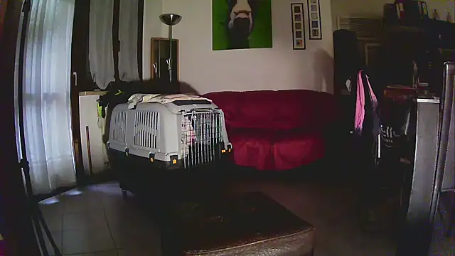 Sabrina-Palermo online show from January 6, 2026, 12:31 pm