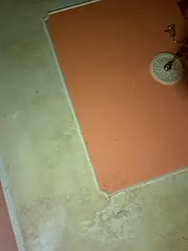 Snapshot of ducicsajsziii chatting on March 17, 2025, 10:38 pm ducicsajsziii online show from March 17, 2025, 10:38 pm