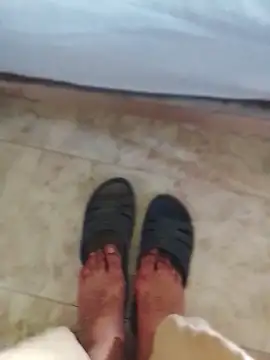 Passivello9 online show from April 29, 2026, 12:20 pm