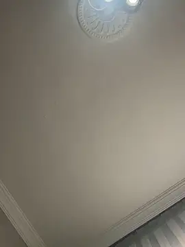 Soylu95 online show from January 17, 2026, 11:04 am