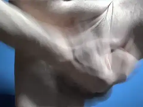 Snapshot of Pol8822 chatting on March 4, 2026, 11:44 pm Pol8822 online show from March 4, 2026, 11:44 pm