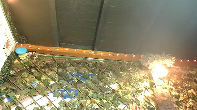 Snapshot of Bigboobs6930 chatting on January 24, 2025, 5:31 am Bigboobs6930 online show from January 24, 2025, 5:31 am