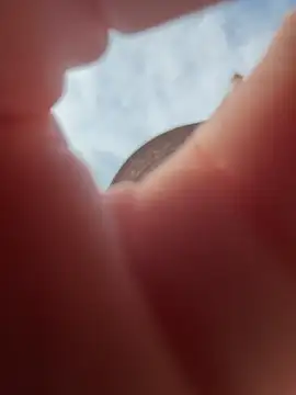 AmmyHot online show from March 18, 2026, 2:26 am