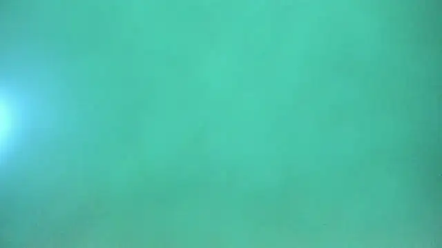 Snapshot of Harleysexycrazy chatting on December 12, 2024, 4:04 am Harleysexycrazy online show from December 12, 2024, 4:04 am