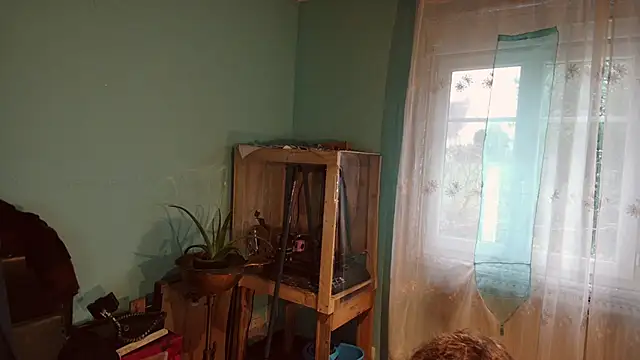 Prxscillia Tx online show from December 13, 2024, 8:20 am