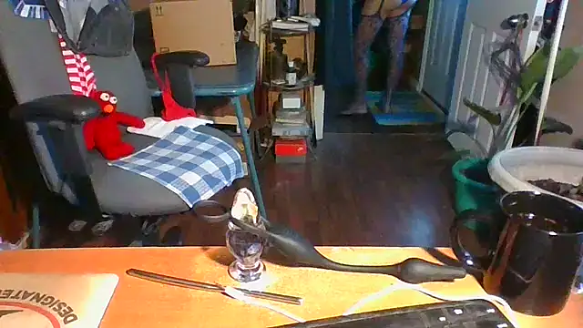 Daremeknot online show from December 16, 2024, 1:54 pm