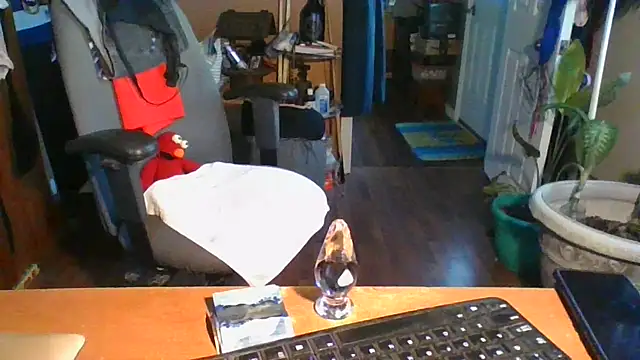 Daremeknot online show from December 31, 2024, 2:25 pm