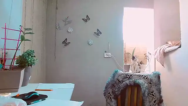 RosaJil online show from February 12, 2025, 1:48 pm