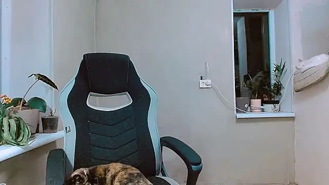 RosaJil online show from November 1, 2025, 3:58 pm