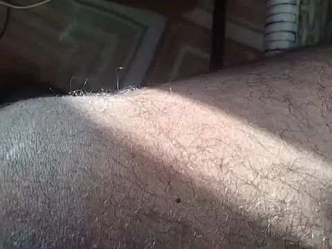 damsexy4 online show from April 10, 2026, 1:55 am