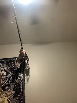 Snapshot of KittyLoroi chatting on November 8, 2025, 9:20 am KittyLoroi online show from November 8, 2025, 9:20 am