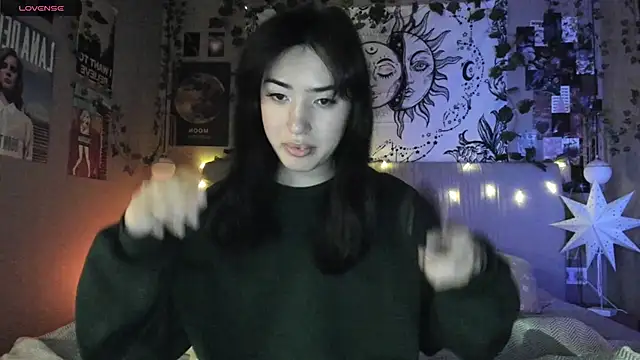 Snapshot of Anisawithlove chatting on February 10, 2025, 9:47 pm Anisawithlove online show from February 10, 2025, 9:47 pm