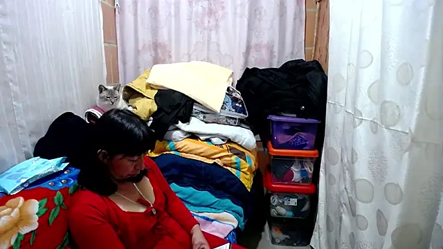 Malaya88 online show from February 13, 2025, 3:50 am