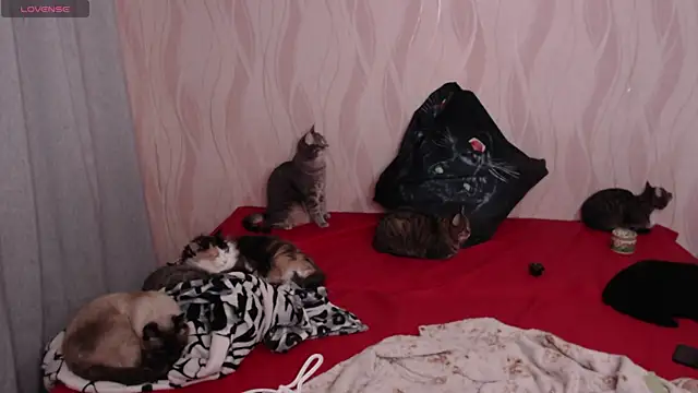 Olivia Winston online show from December 5, 2024, 9:50 pm