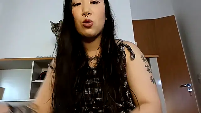 Japabaixinha online show from November 22, 2025, 8:41 pm