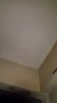 Snapshot of gala2 chatting on January 19, 2025, 6:31 am gala2 online show from January 19, 2025, 6:31 am