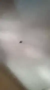 Snapshot of gala2 chatting on March 5, 2025, 6:01 pm gala2 online show from March 5, 2025, 6:01 pm