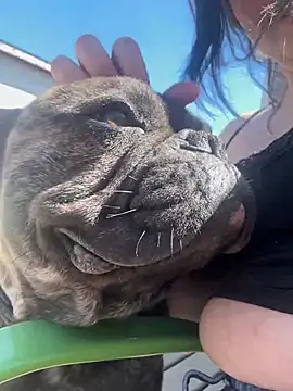 skinwalkingzombie online show from April 29, 2026, 8:37 pm