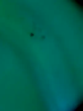 Snapshot of sm4lld1ck chatting on October 31, 2025, 11:39 pm sm4lld1ck online show from October 31, 2025, 11:39 pm