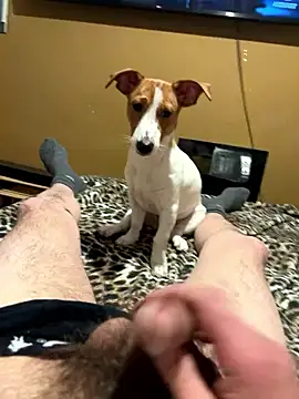 Snapshot of gigetto1977 chatting on January 13, 2026, 8:58 pm gigetto1977 online show from January 13, 2026, 8:58 pm