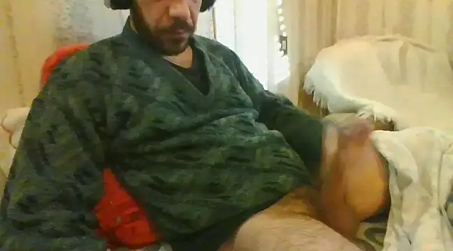 tozebrito hd online show from February 6, 2025, 8:29 am