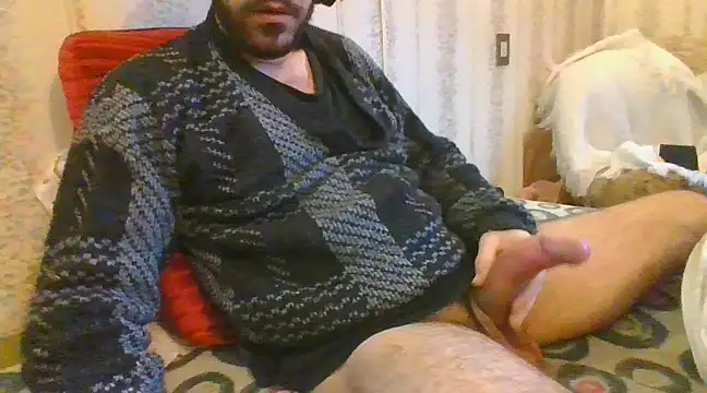 tozebrito hd online show from February 8, 2025, 5:29 pm