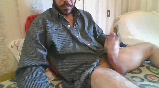 tozebrito hd online show from February 9, 2025, 9:37 am