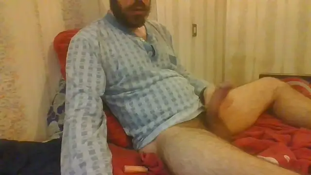 tozebrito hd online show from October 30, 2025, 4:36 am