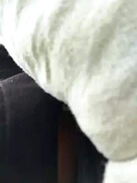 Emily Wane online show from February 24, 2026, 6:28 pm