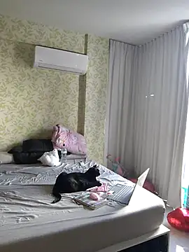 samilux5 online show from February 17, 2025, 8:04 pm