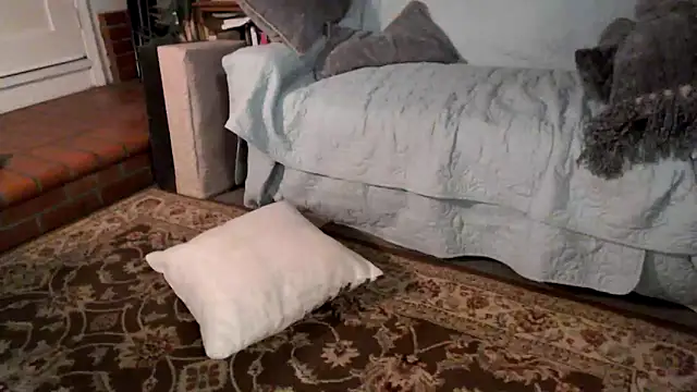 Dark Asteroid online show from February 20, 2026, 12:38 pm