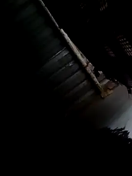 Moreno1813 online show from February 9, 2025, 8:33 am