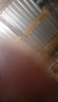 Moreno1813 online show from November 5, 2025, 6:13 am