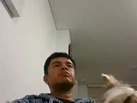 perxxxeo  online show from October 11, 2025, 1:38 am