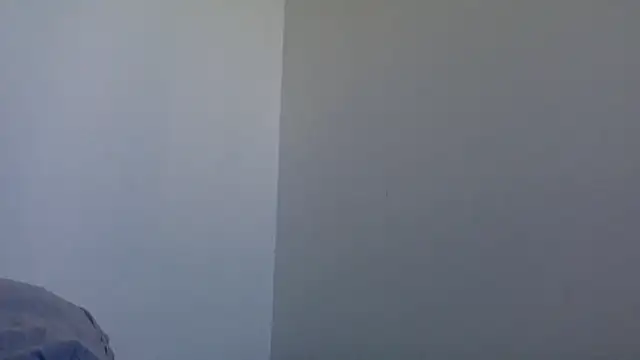 molozeb online show from February 8, 2026, 8:40 am