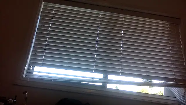 lilboygonewild online show from September 8, 2025, 10:53 pm