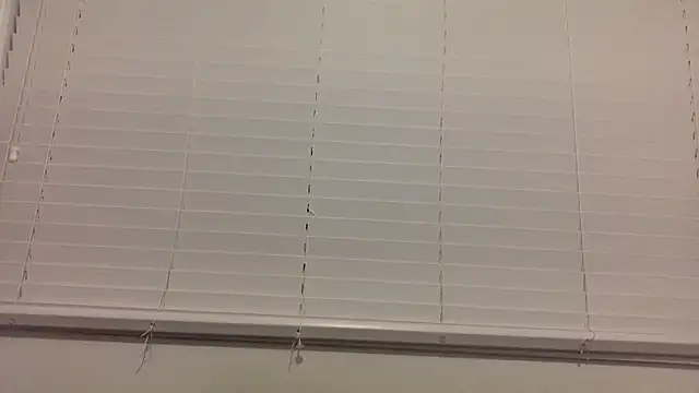 lilboygonewild online show from November 14, 2025, 10:58 am