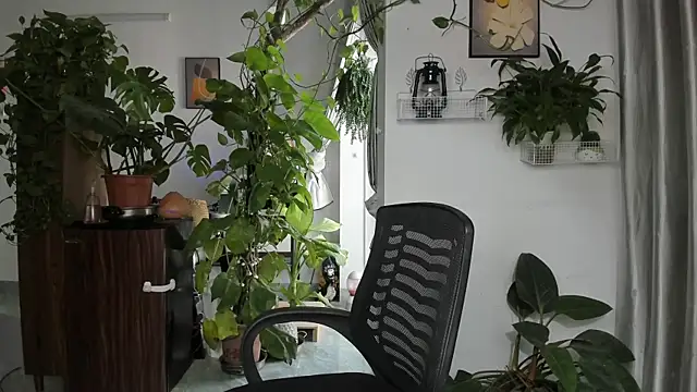 Oliver Nl online show from November 28, 2025, 4:48 am