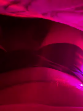 balamuc97 online show from December 2, 2025, 2:28 am