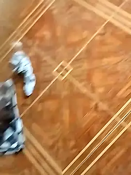 Snapshot of socrathes chatting on February 26, 2026, 12:26 pm socrathes online show from February 26, 2026, 12:26 pm