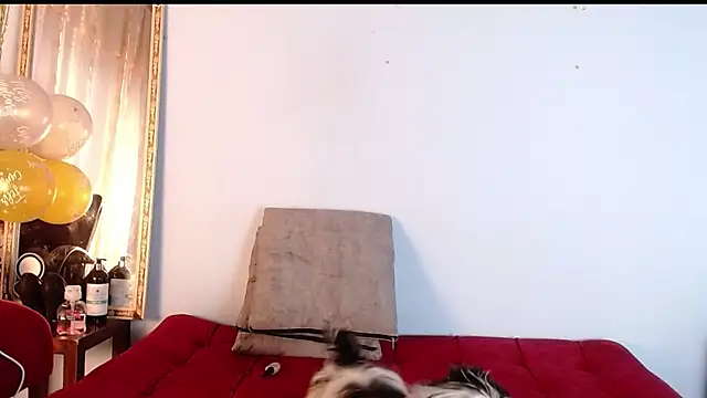 Tamararios online show from November 27, 2025, 10:01 pm