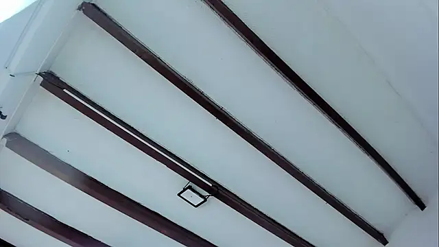 Oriana Guzman online show from January 17, 2025, 11:49 am