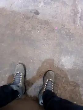 braza66 online show from November 28, 2025, 2:20 pm