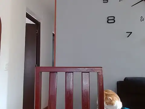 Laura martin  online show from February 5, 2025, 1:33 pm