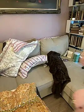 GingerSnap33 online show from January 18, 2026, 6:34 pm